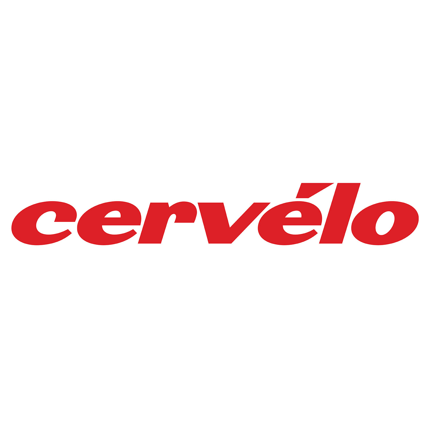 2024年　Cervelo 取り扱いSTART！｜長野県｜飯田｜スポーツバイク自転車専門店