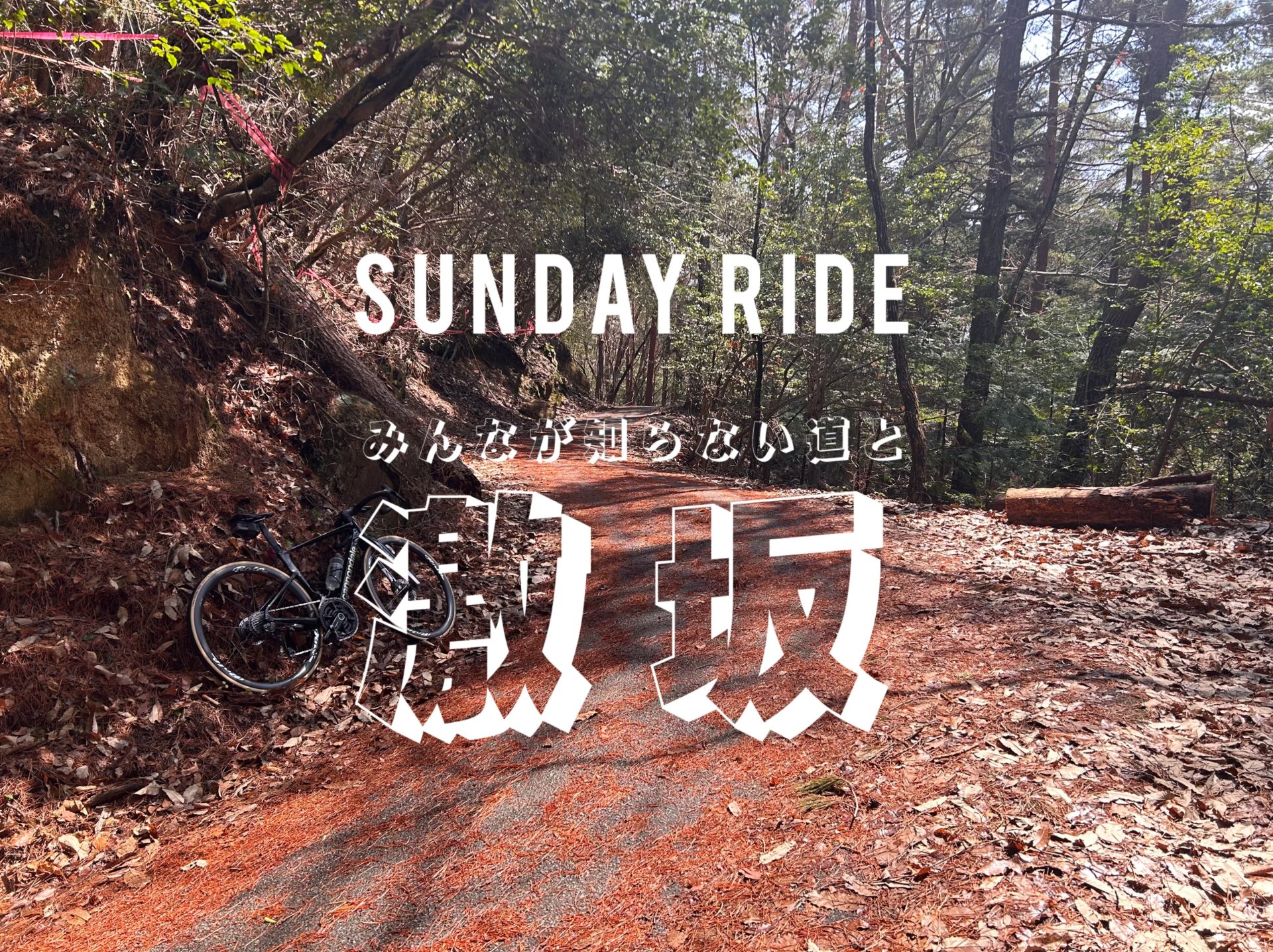 4月13日(日) SUNDAY RIDE 「みんなが知らない道と激坂」開催します！ /長野県/飯田市スポーツバイク自転車店