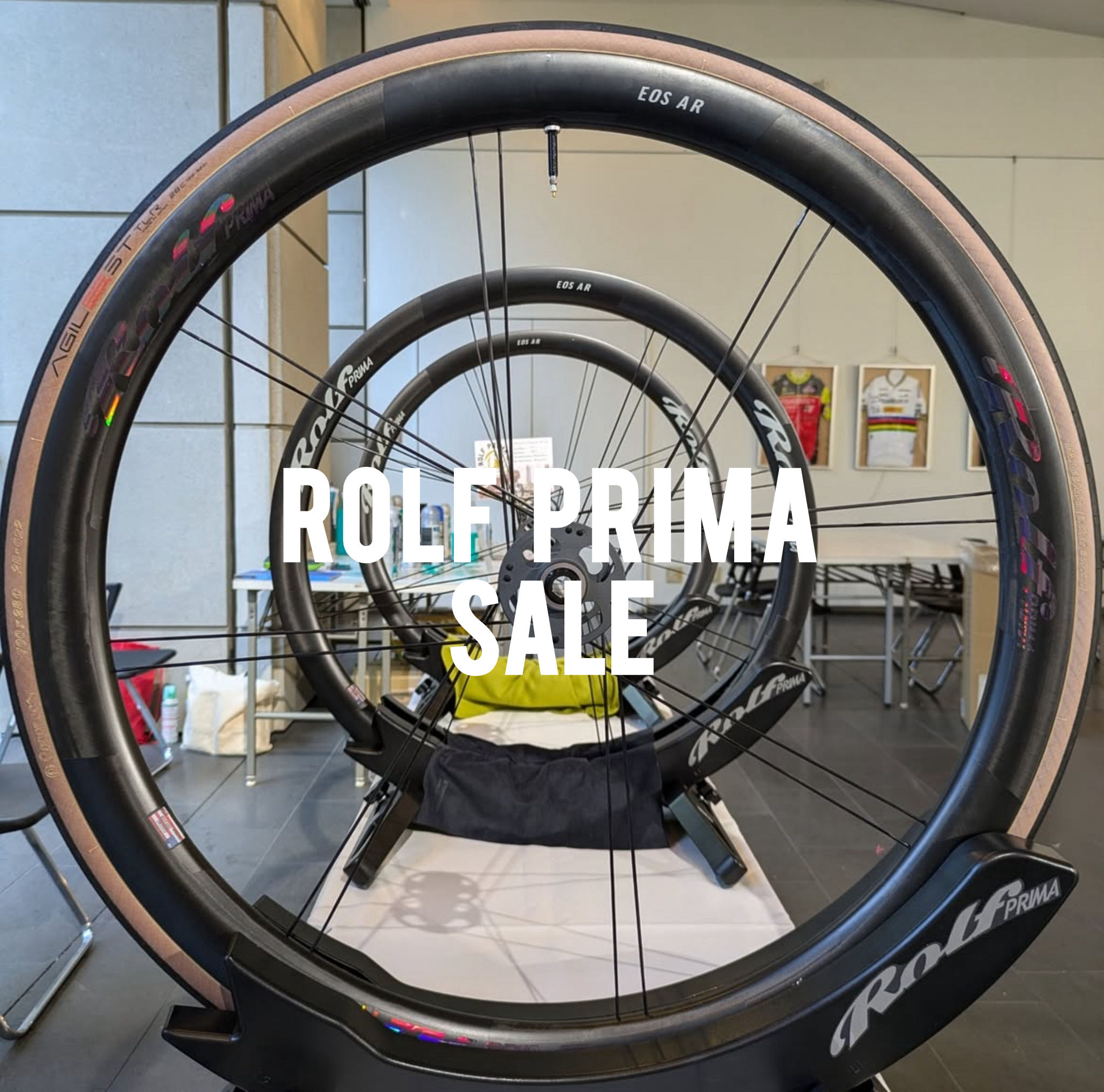 Rolf PRIMA セール/長野県/飯田市/スポーツバイク自転車店